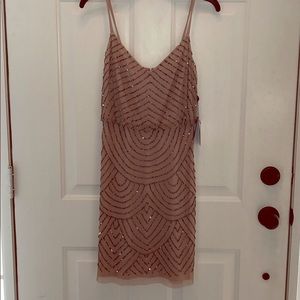 Adrianna Papell Bead Dress